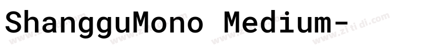 ShangguMono Medium字体转换